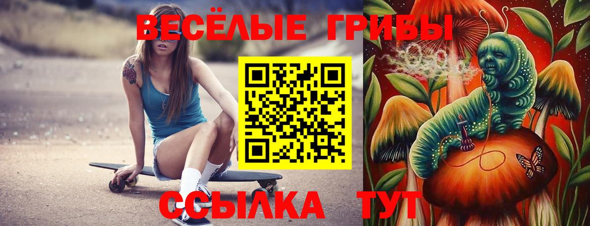 Галлюциногенные грибы Psilocybe Красноперекопск